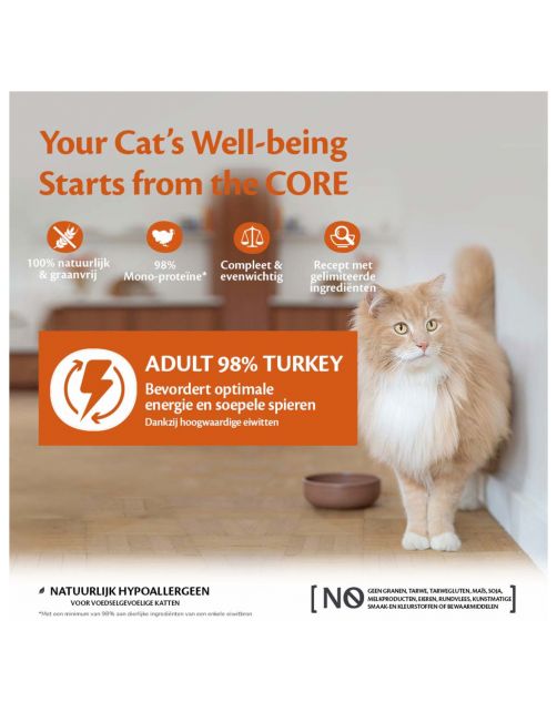 Wellness Core 98% Recipe 85 g - Kattenvoer