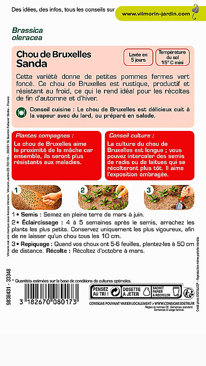 Graines de Chou de Bruxelles Sanda