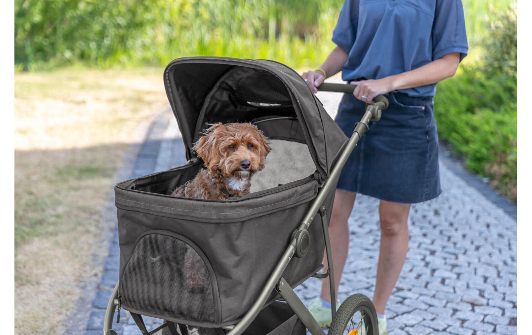 Buggy 60 × 112 × 120 cm, 12.5 kg, Schwarz/Petrol<br>Buggy zum Transport von Hunden oder Katzen