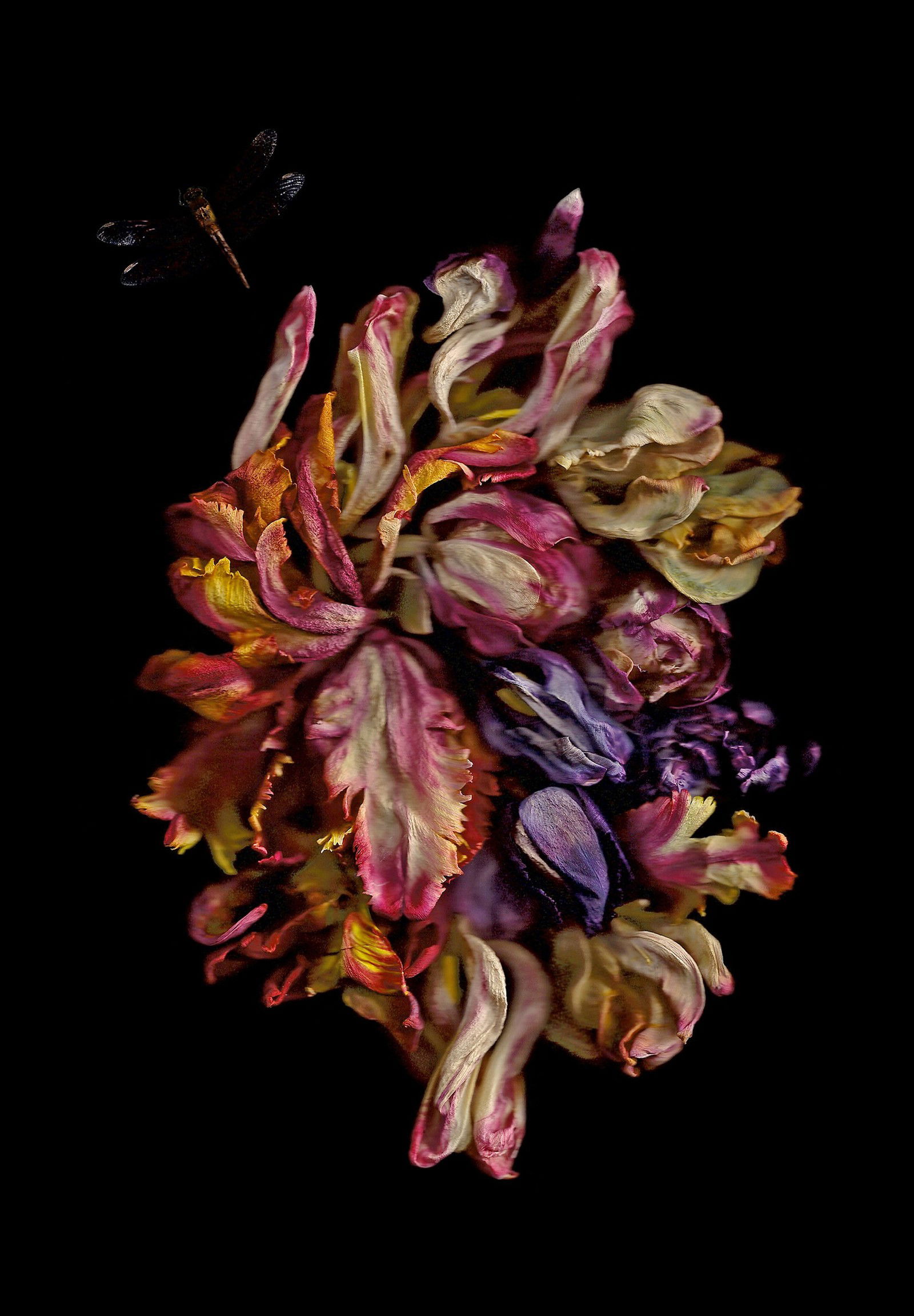 Vanitas V by Annet van der Voort - Limited Edition. Edition of: 100. Signed.