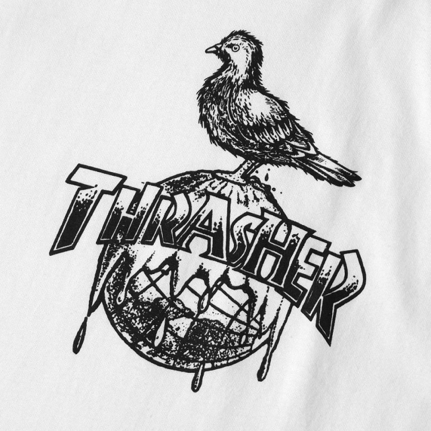 Thrasher Antihero T-Shirt Cover The Earth White