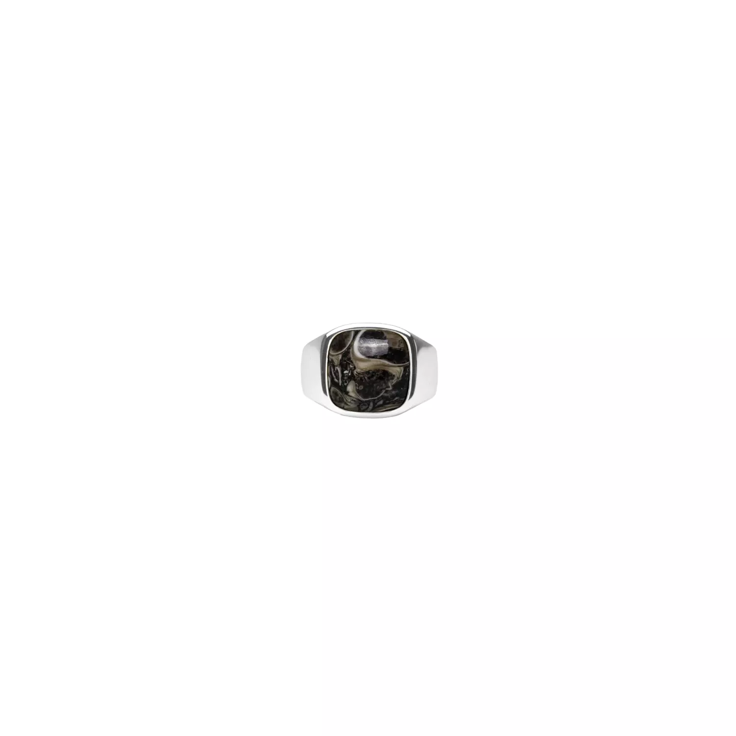 IX Studios Cushion Signet Turtle Agate Ring 22 kt. Sølv DMN0282SLTA