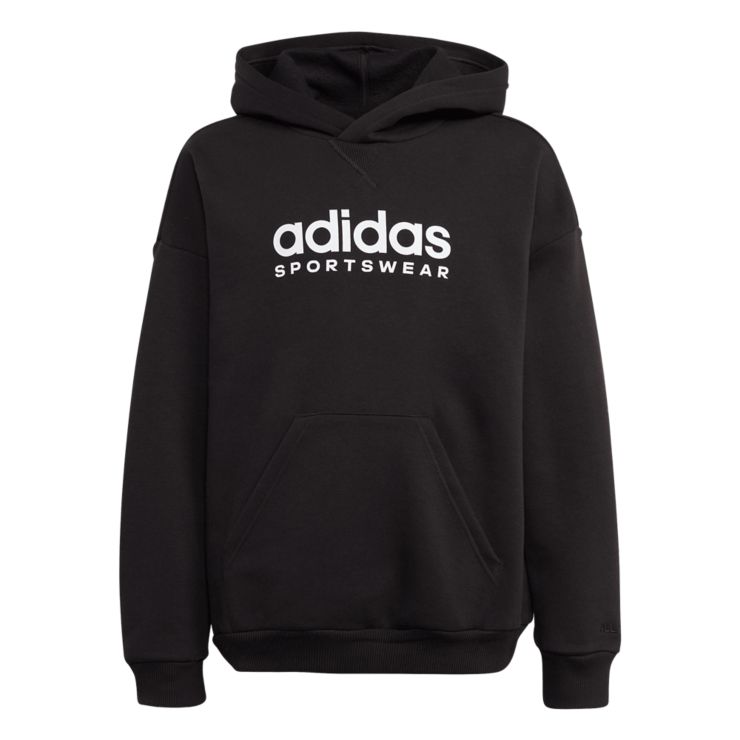Adidas SportswearEssentials Big Logo Hoodie - schwarz