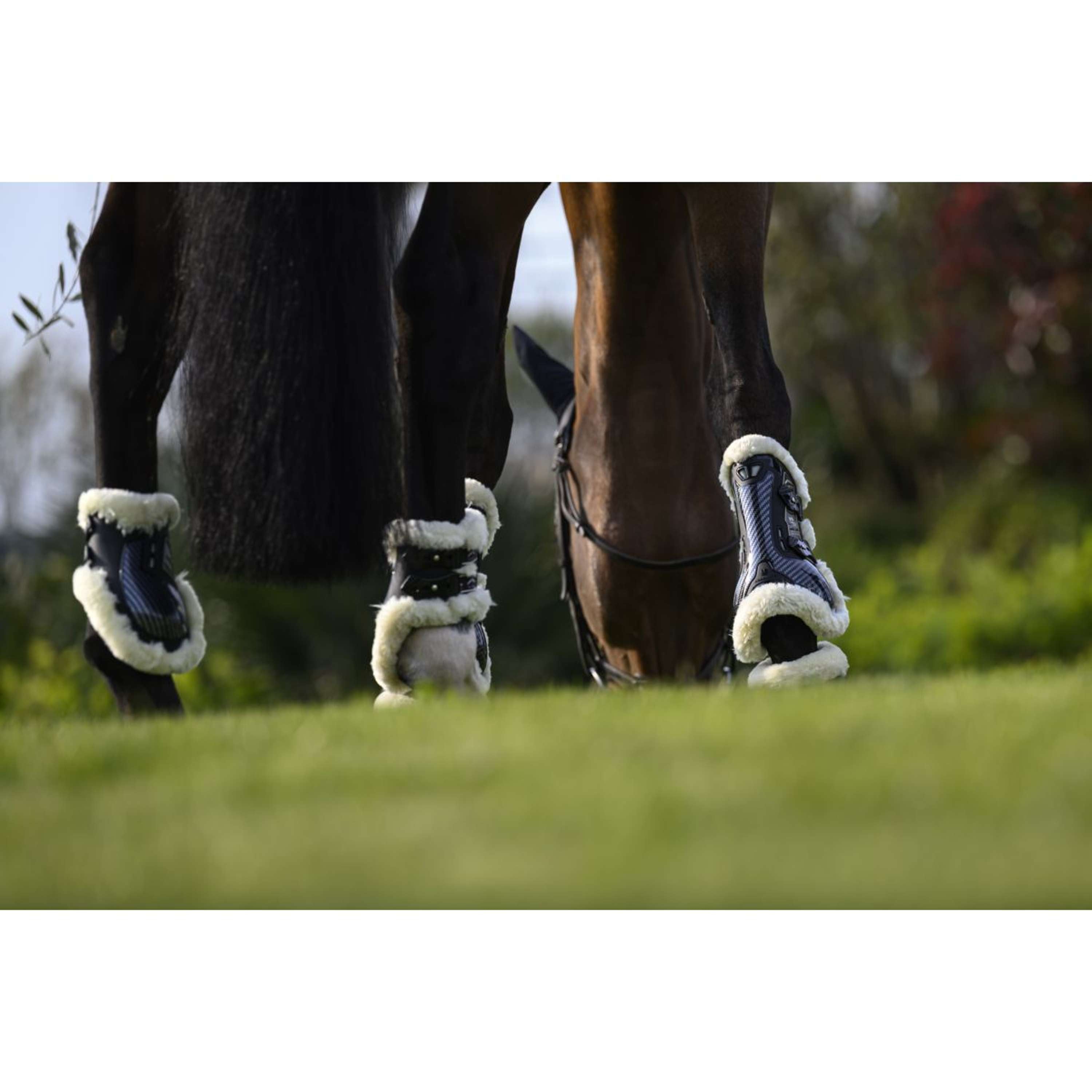 Veredus Peesbeschermers Carbon Gel Absolute Save the Sheep Front Zwart