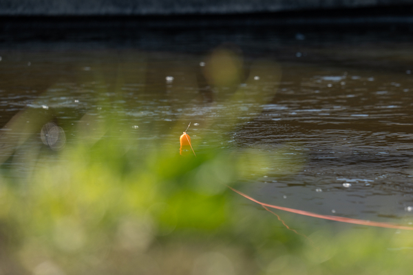 Flotteur carnassier Ultimate Predator Float Inline