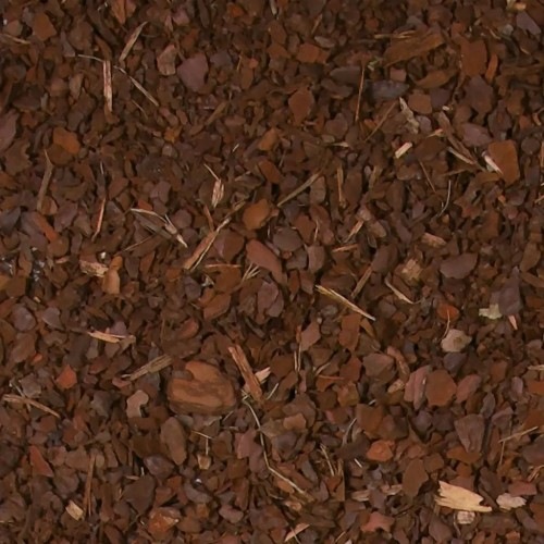 Substrato de casca de pinheiro para terrário, odor neutro