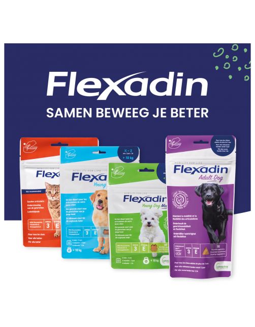 Flexadin Cat - Chews - Gewricht-Supplement - 60 stuks