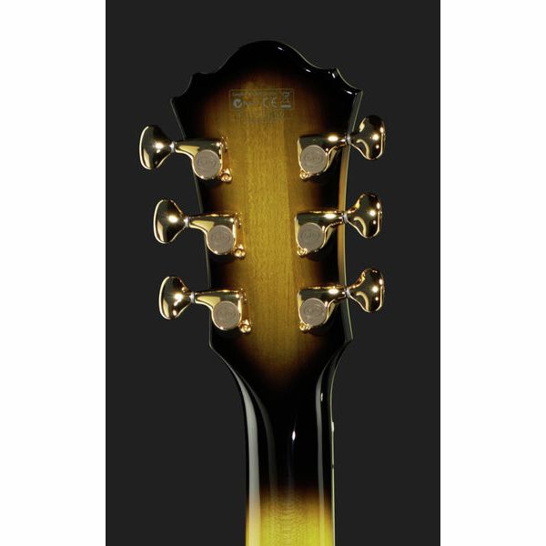 Ibanez LGB300-VYS
