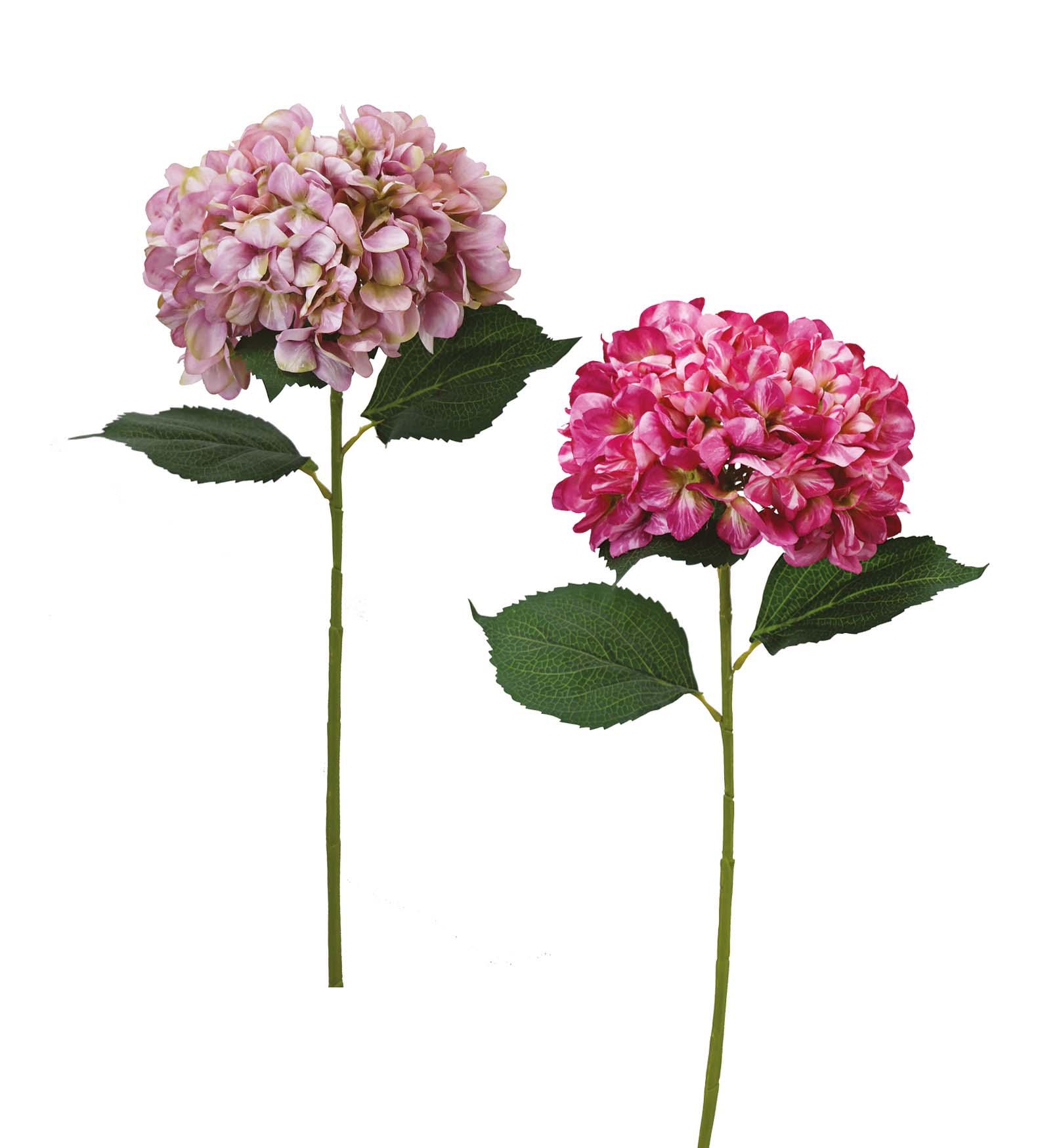 BRANCHE HORTENSIA H.80CM ROSE