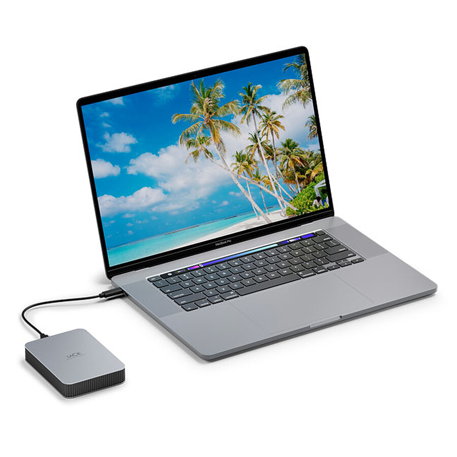 LaCie Mobile Drive V2 Argent - 2 To