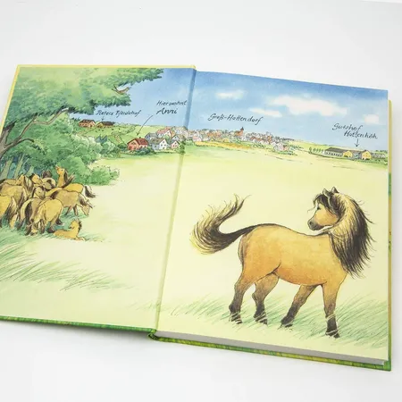 Carlsen Verlag Ponyherz 5: Anni rettet das Fohlen