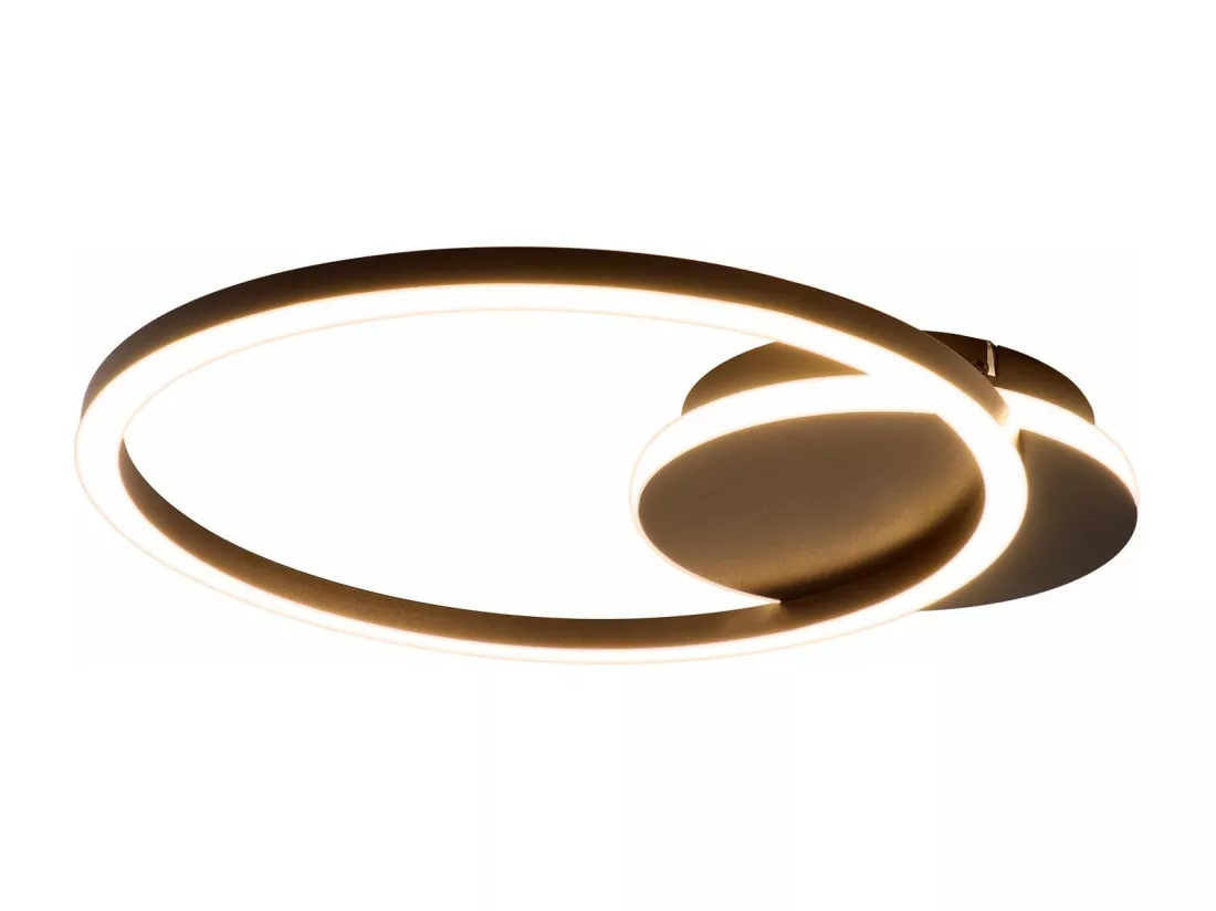 NETTLIFE Plafonnier LED Salon 24W Noir Moderne 2 Anneaux 3000K Blanc Chaud