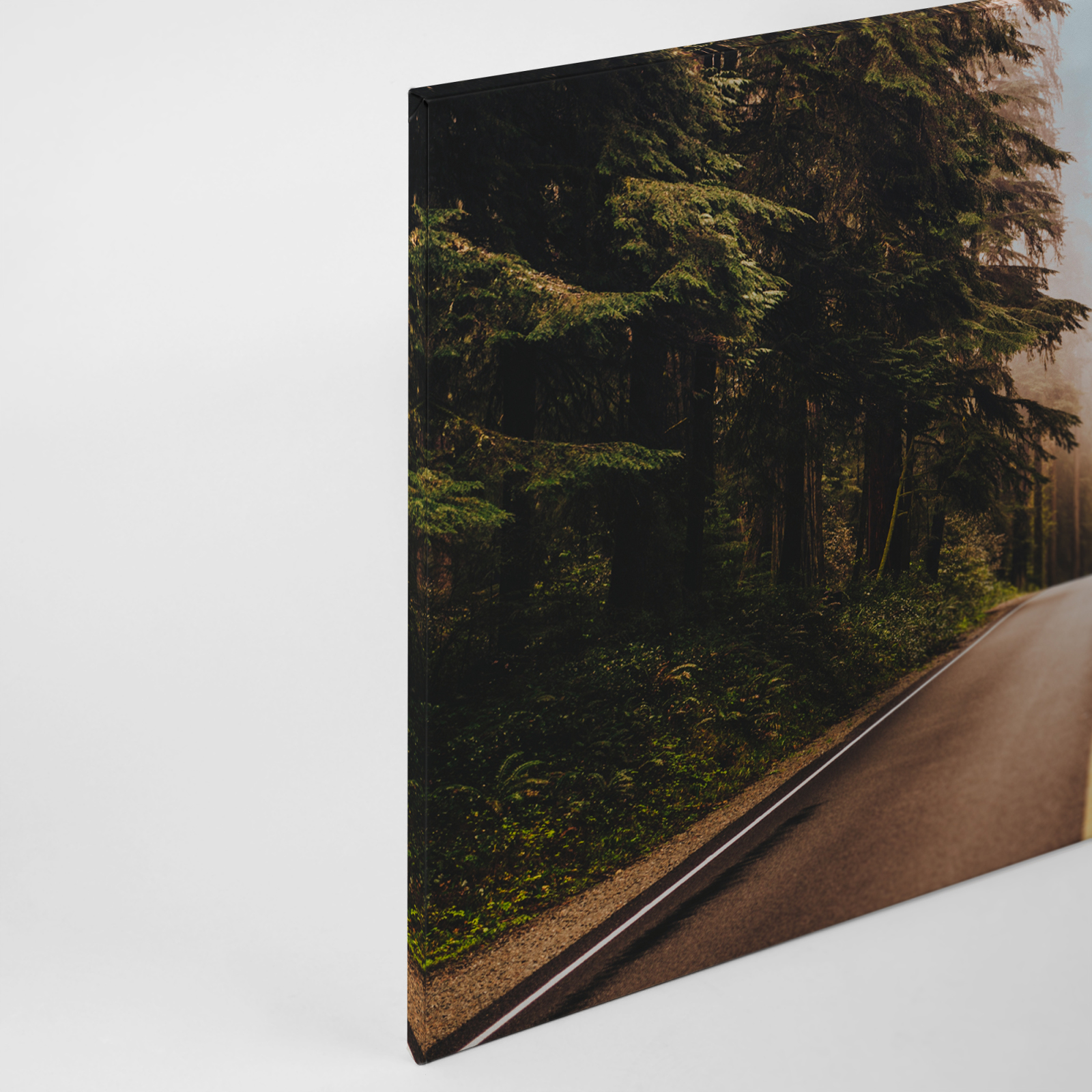 Leinwandbild ROADTRIP - grün-braun - 90x60 cm