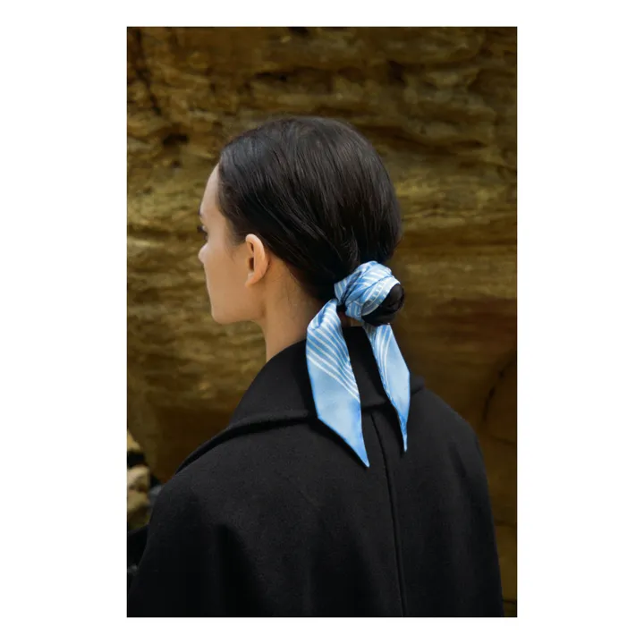 Aeneis Twill de Soie | Bleu