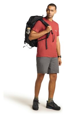 T-shirt Technique Icebreaker Merino 150 Tech Lite IB Wordmark Marron