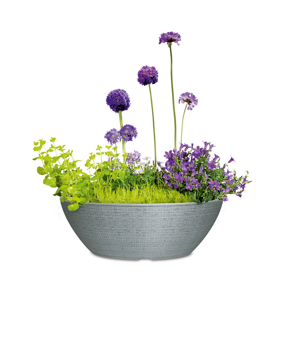 Scheurich Barceo Bowl 40, plantenschaal/bloempot/plantentray, rond, gemaakt van kunststof, kleur: Stony Grey, 39 cm diameter, 18 cm hoog, inhoud 14,5 l.