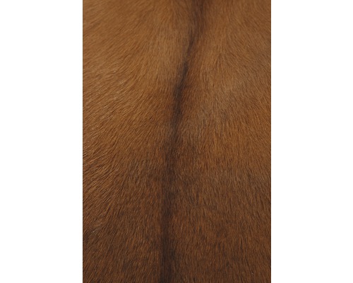Geitenbont, bruin, 55x70 cm