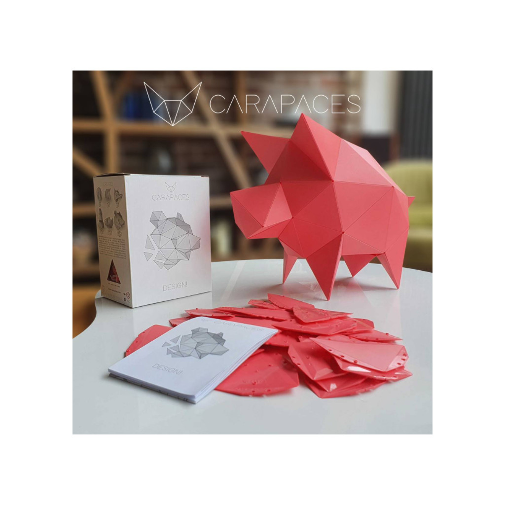 Carapaces By Doug : Rose
