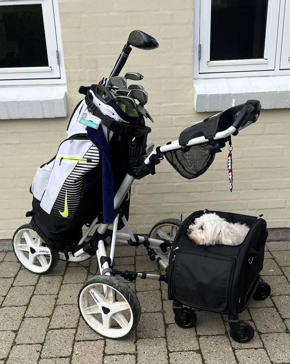 Close2Me DeLuxe Pet-Rider