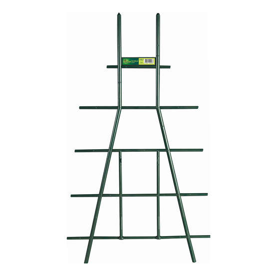Tuteur Echelle Vert 50 cm