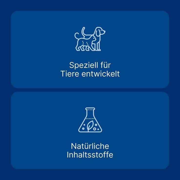 Nurexan LT ad us. vet. Tabletten, 100 St