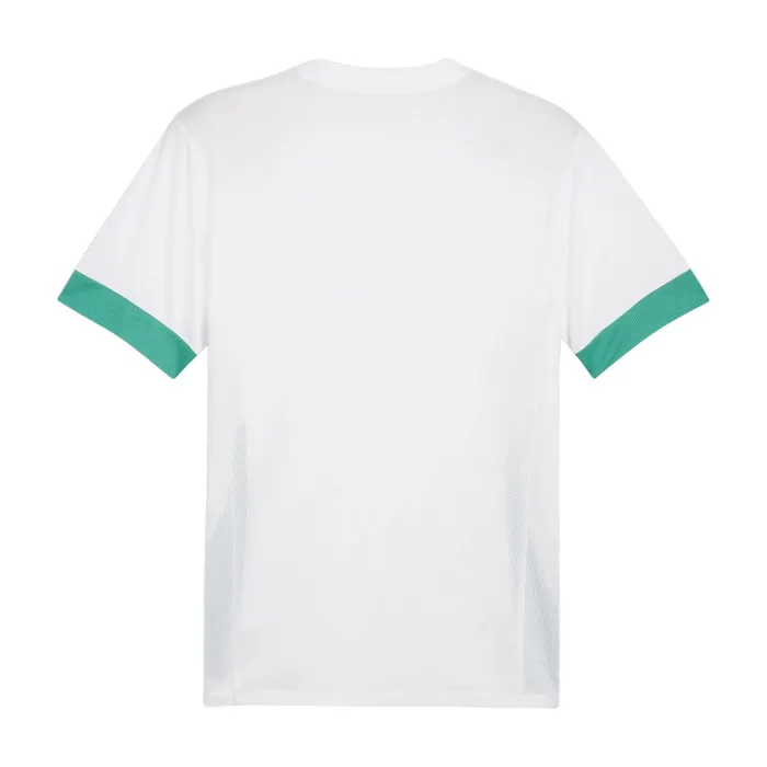 Puma TeamGOAL Matchday Shirt Heren