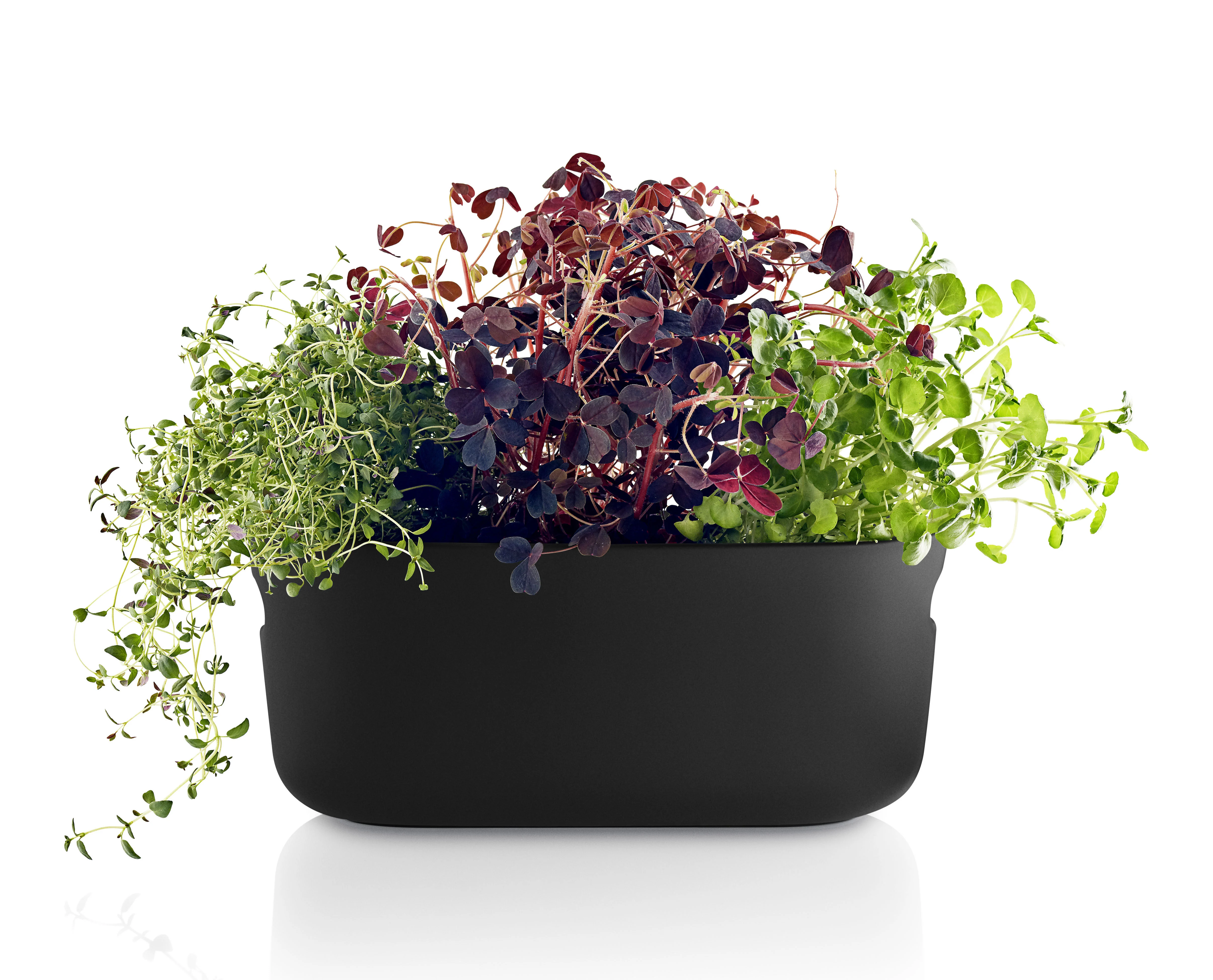 HERB - Pot à réserve d'eau céramique | Noir