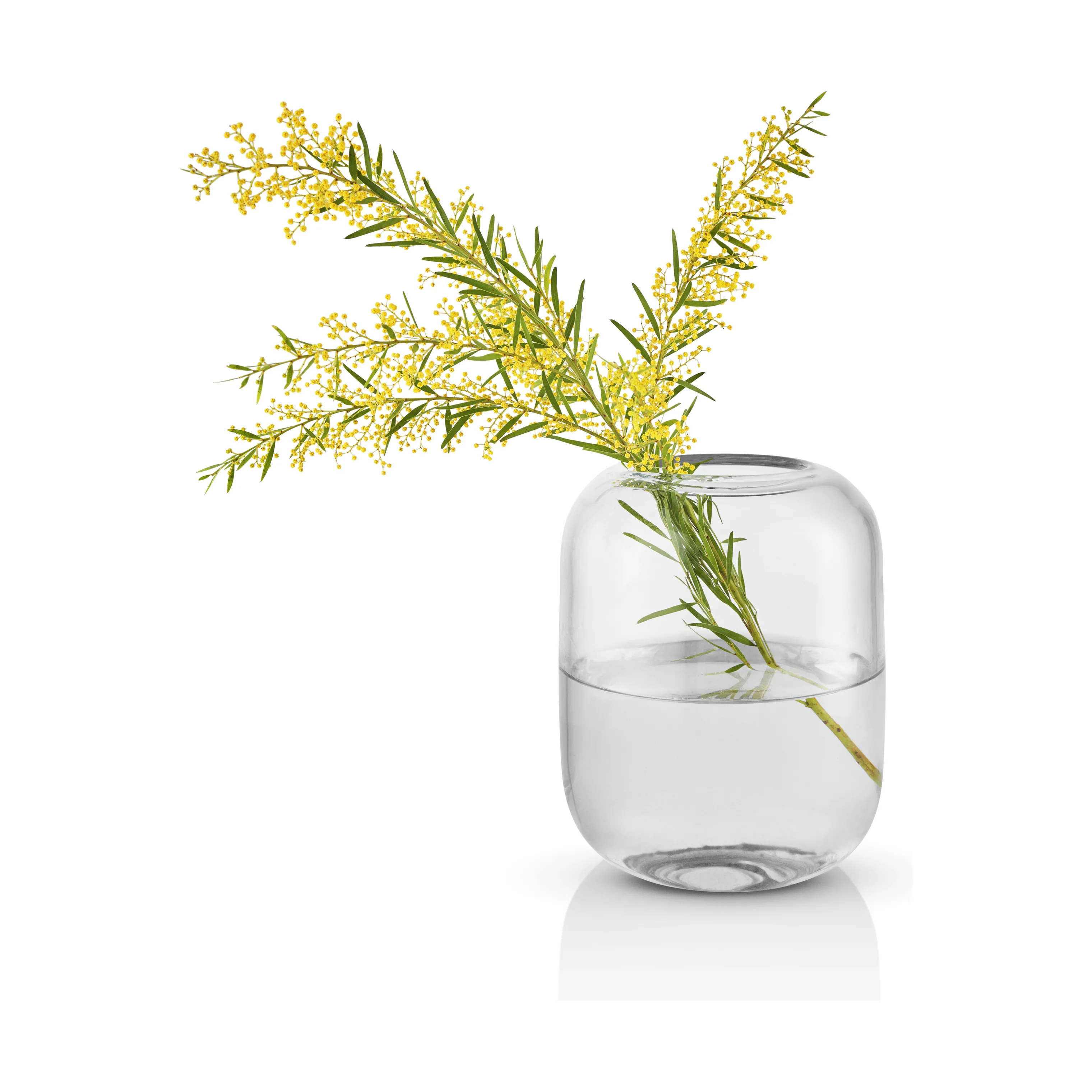 Eva Solo Acorn Vase