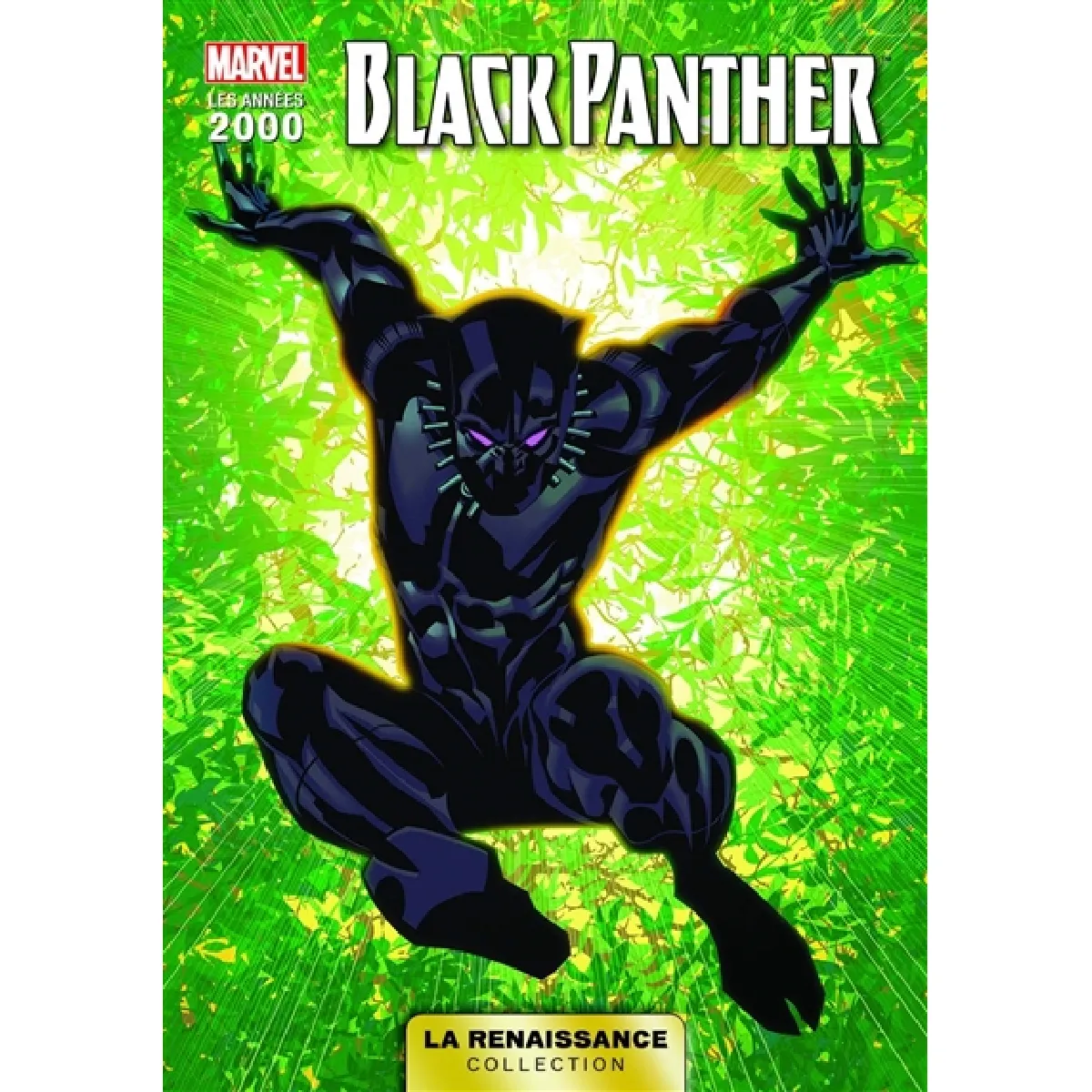 Black Panther · Occasion