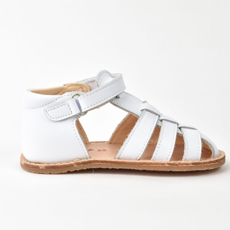 Aster Aster Petits Pas Binosmo Blanc