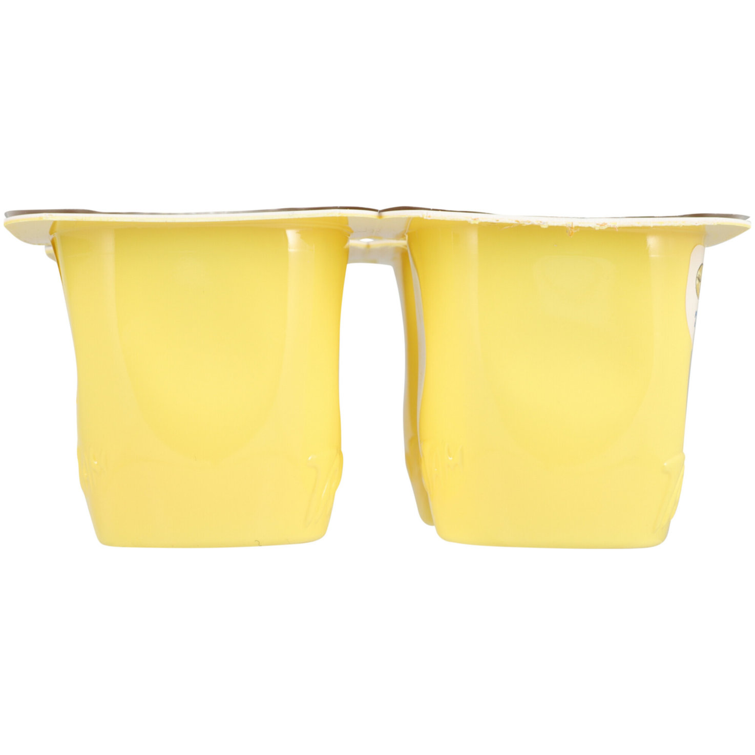 TamTam le Flan Vanille 4x100g