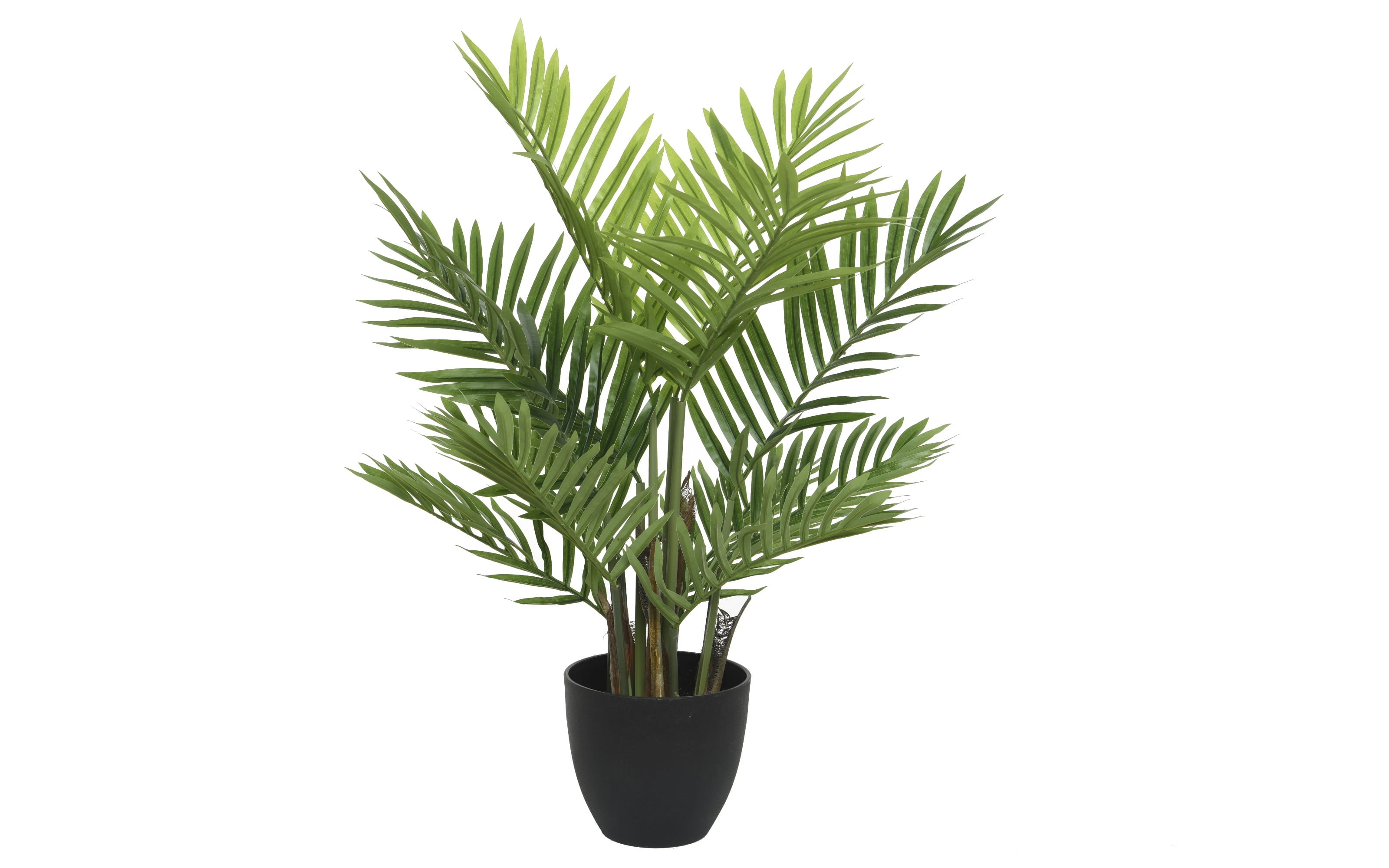 Palme im Topf, grün/schwarz, 73 cm
