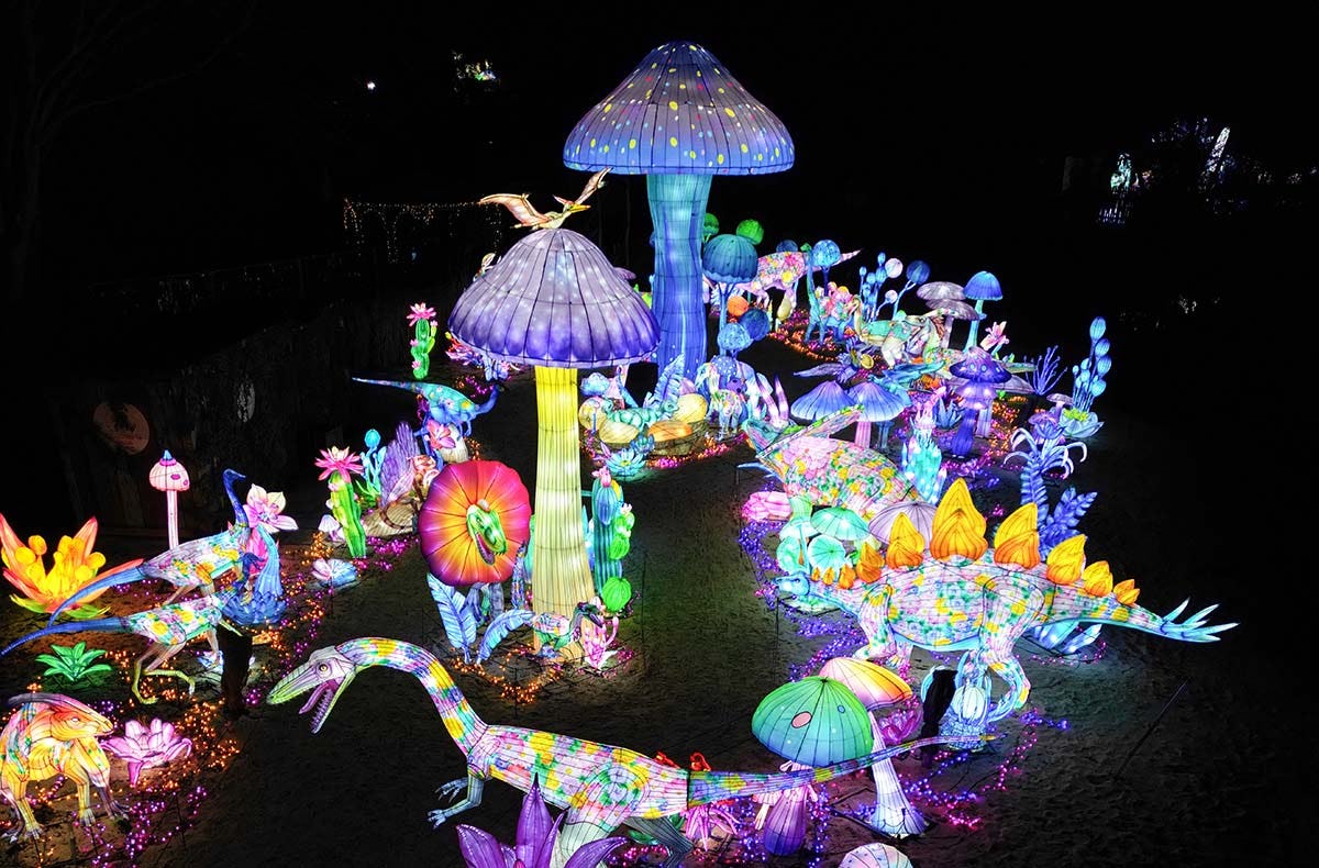 Lichterfestival mit Übernachten im Serengeti-Park für 2 (1 Nacht)