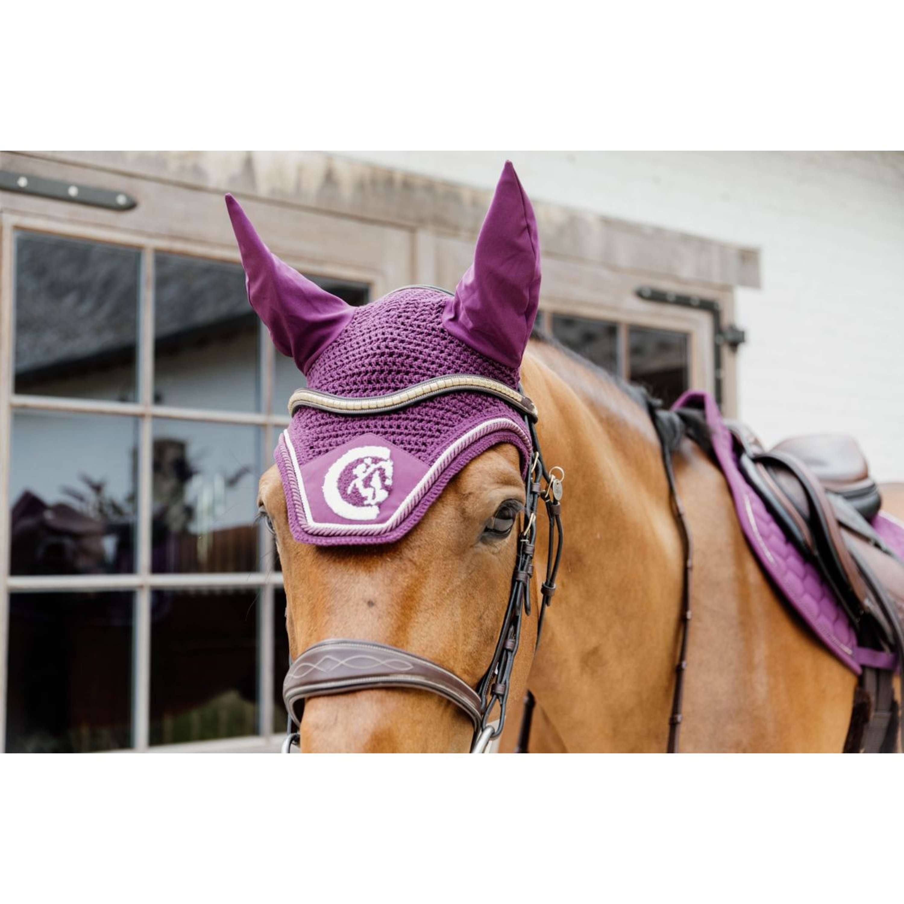 Kentucky Oornetje Wellington Soundless 3D Logo Rope Paars