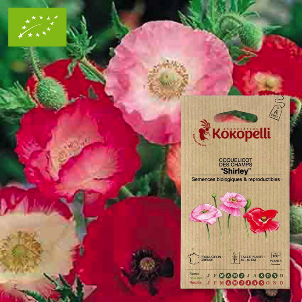 Sachet de graines bio à semercoquelicot shirley