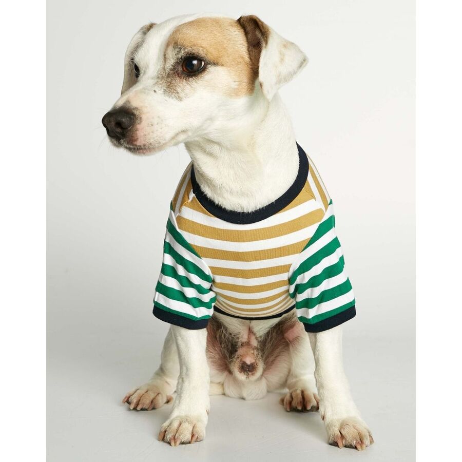 Camiseta David