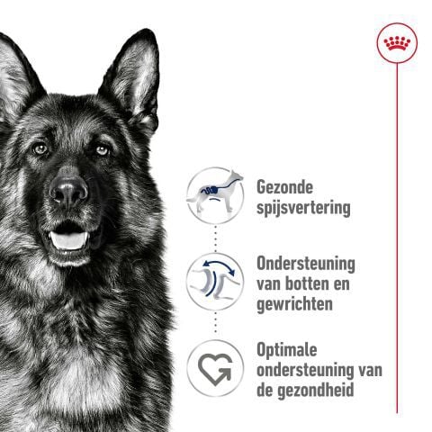 Royal Canin Maxi Adult - Hondenvoer - 12 Kilogram - gevogelte