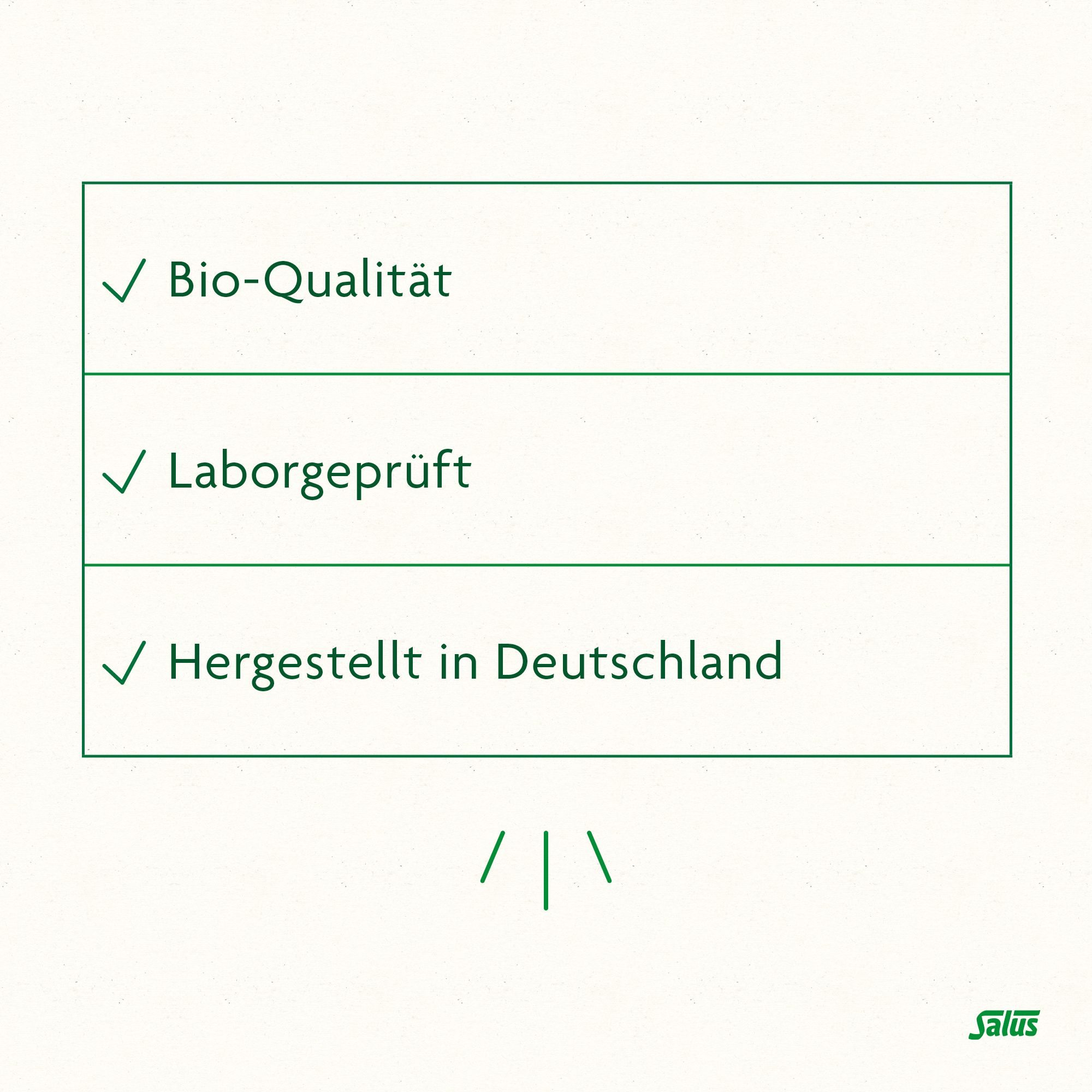 Salus FreeBalance Löwenzahn-Brennnessel Basischer Tee