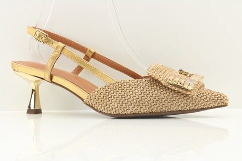 Lodi Pumps