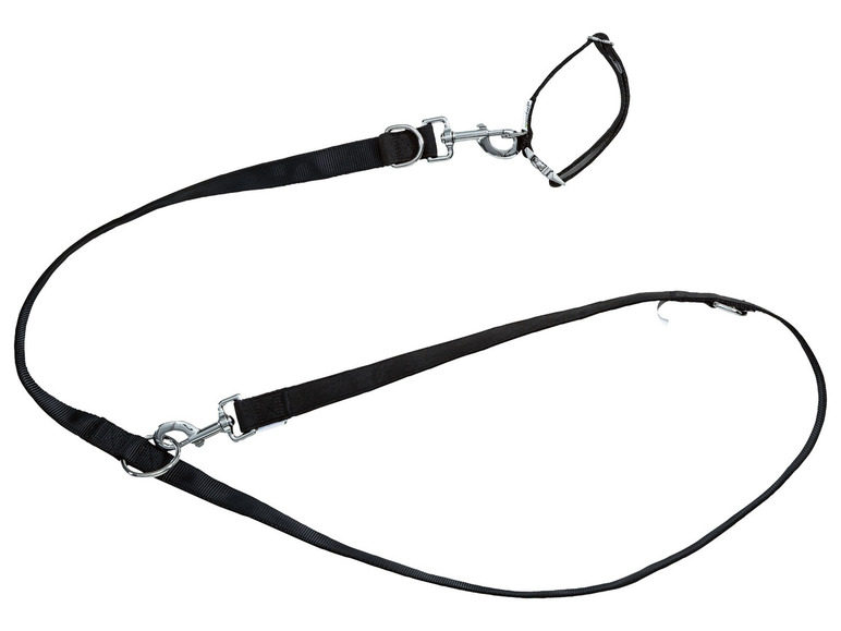 Hondenhalsband en riem