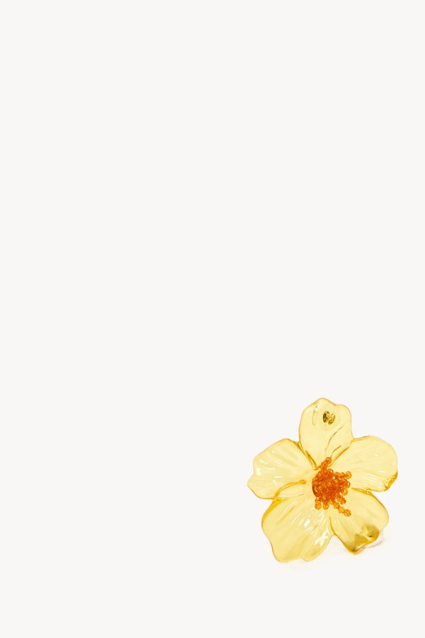 BLOOMING WONDERS