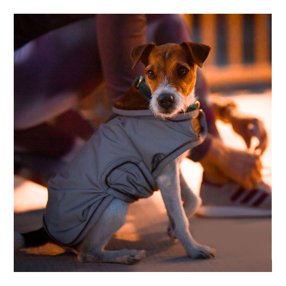 Kentucky REFLECTIVE & WATER REPELLENT - Chemise imperméable pour chien repellent silver