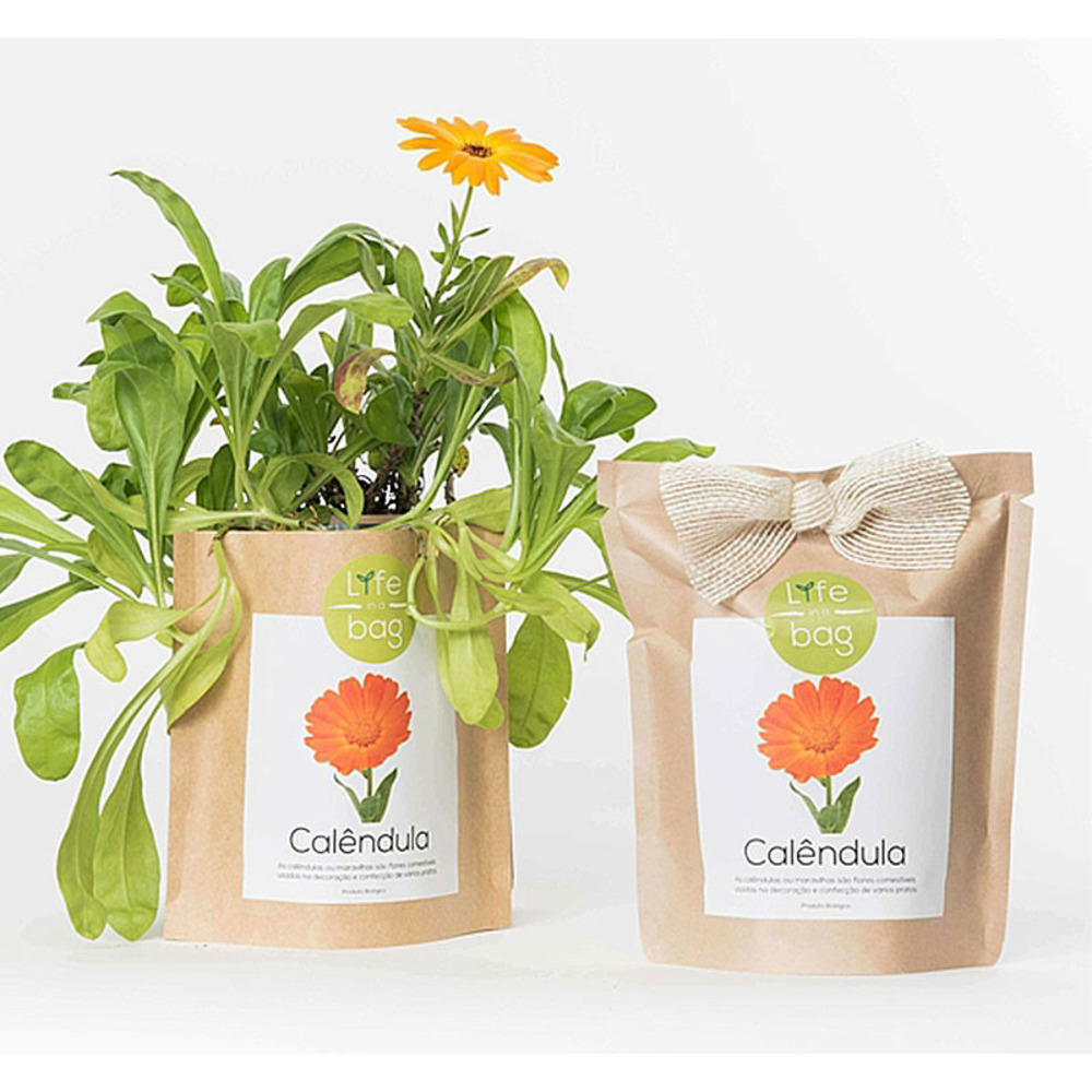 Sac papier prêt à cultiver calendula