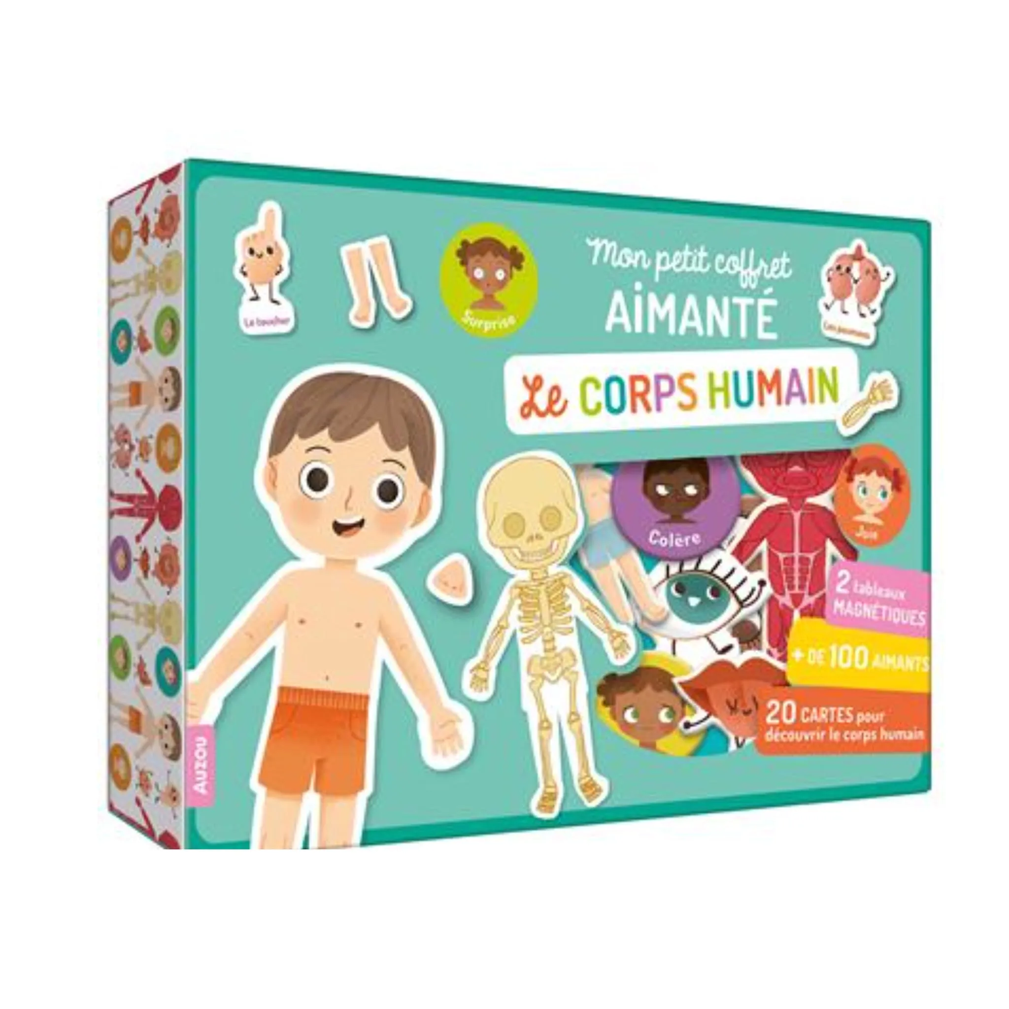 Auzou Mon Petit Coffret Aimanté - Le Corps Humain