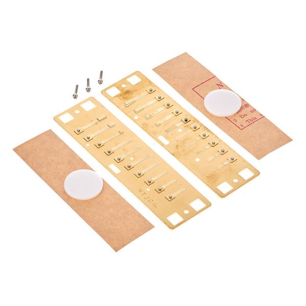 Lee Oskar Harmonic Minor Reedplates G