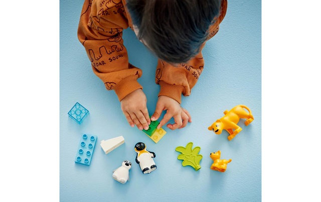 LEGO® Spielbausteine »DUPLO® Wildtier-Familien Pinguine und Löwen 10442«