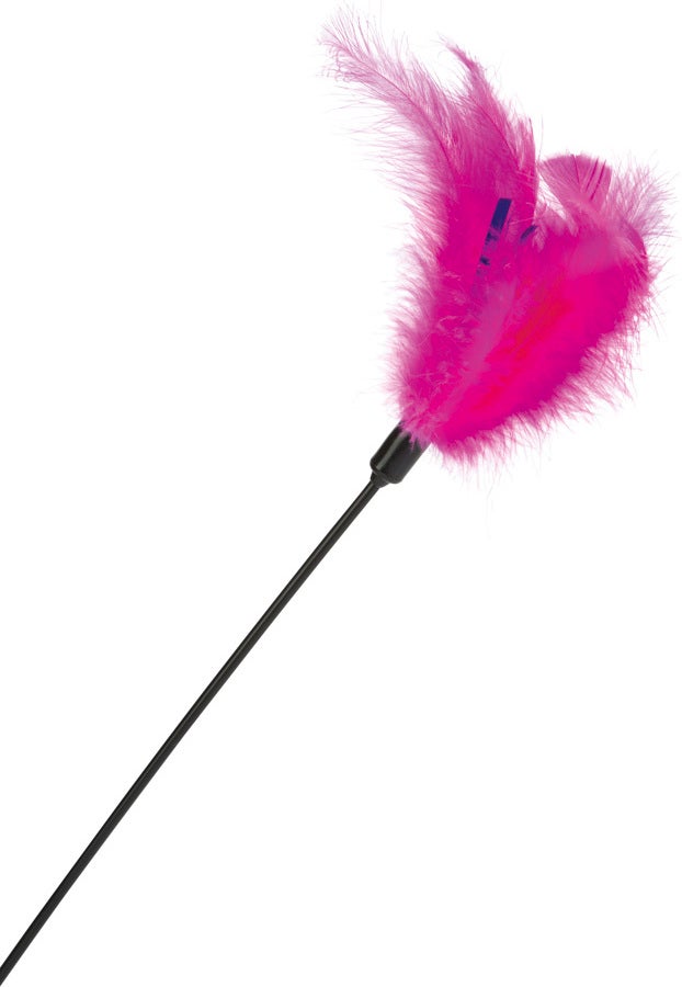 Beeztees kattenspeelgoed hengel veren roze 45 cm