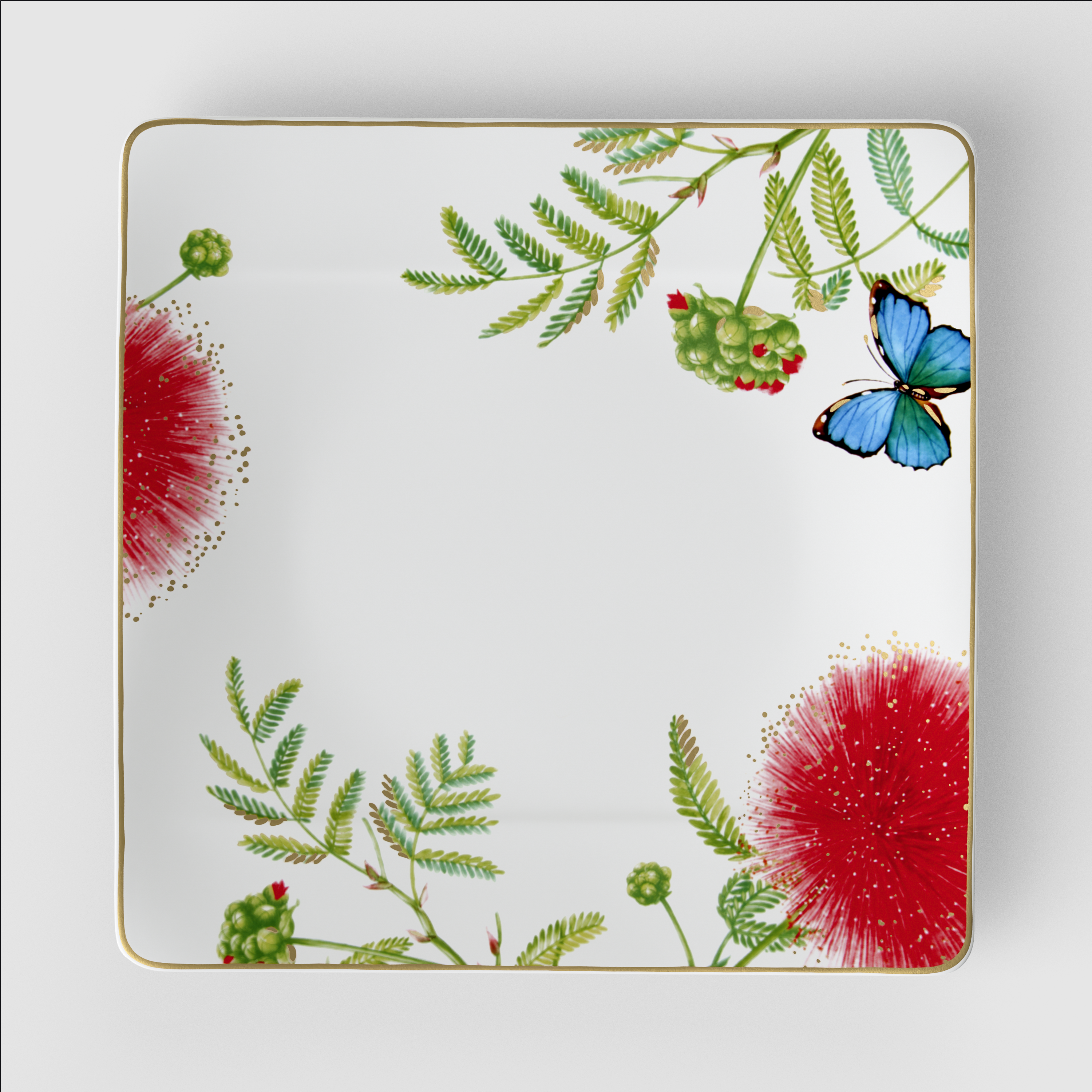 Amazonia Dinner plate Multi-colored, 10.8'' x 10.8'', Premium Bone Porcelain