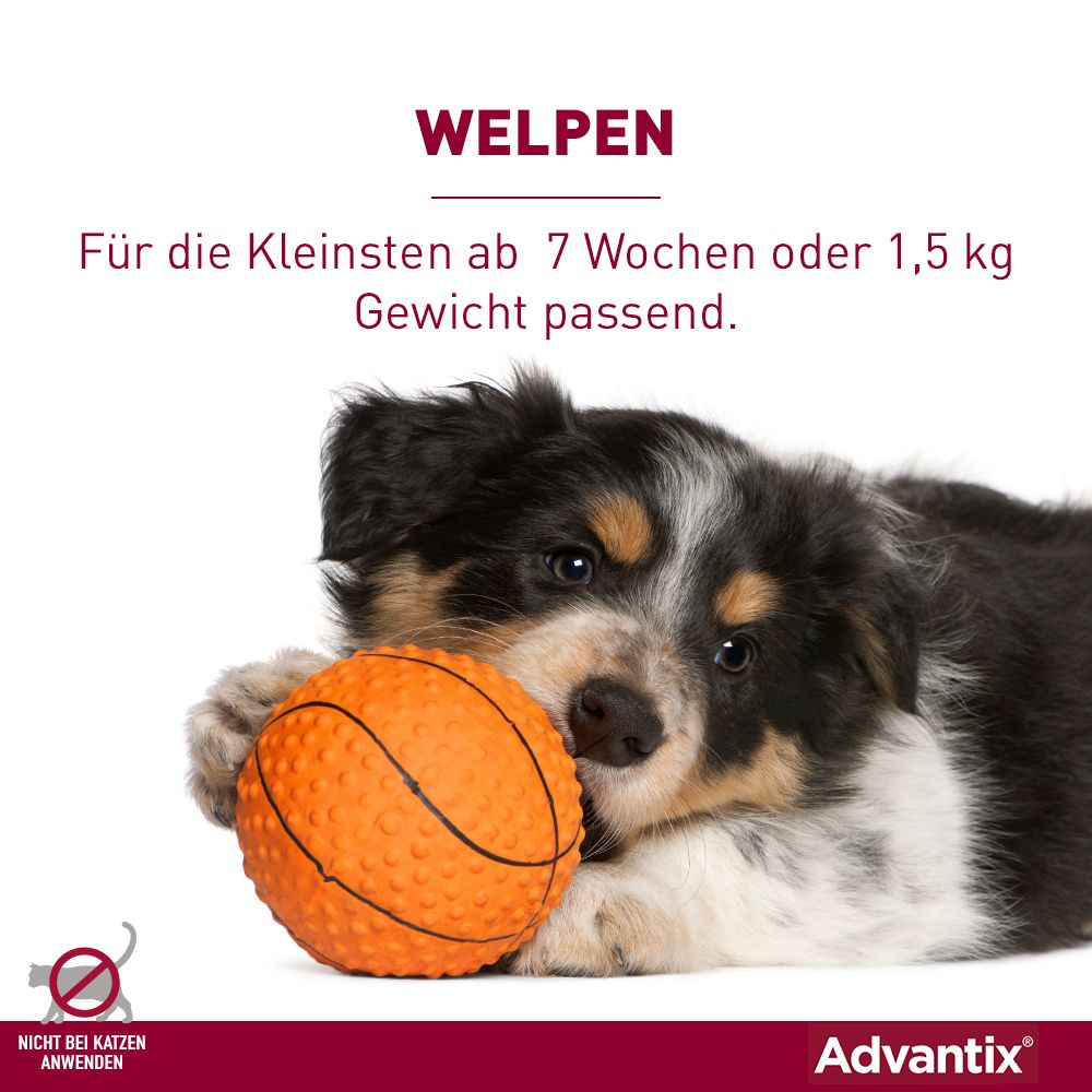 Advantix® Spot on für Hunde 4 - 10 kg