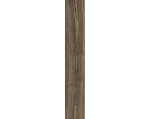 Porseleinen steengoed wand- en vloertegel Oliver Braun 20 x 119,5 x 1 cm mat gerectificeerd